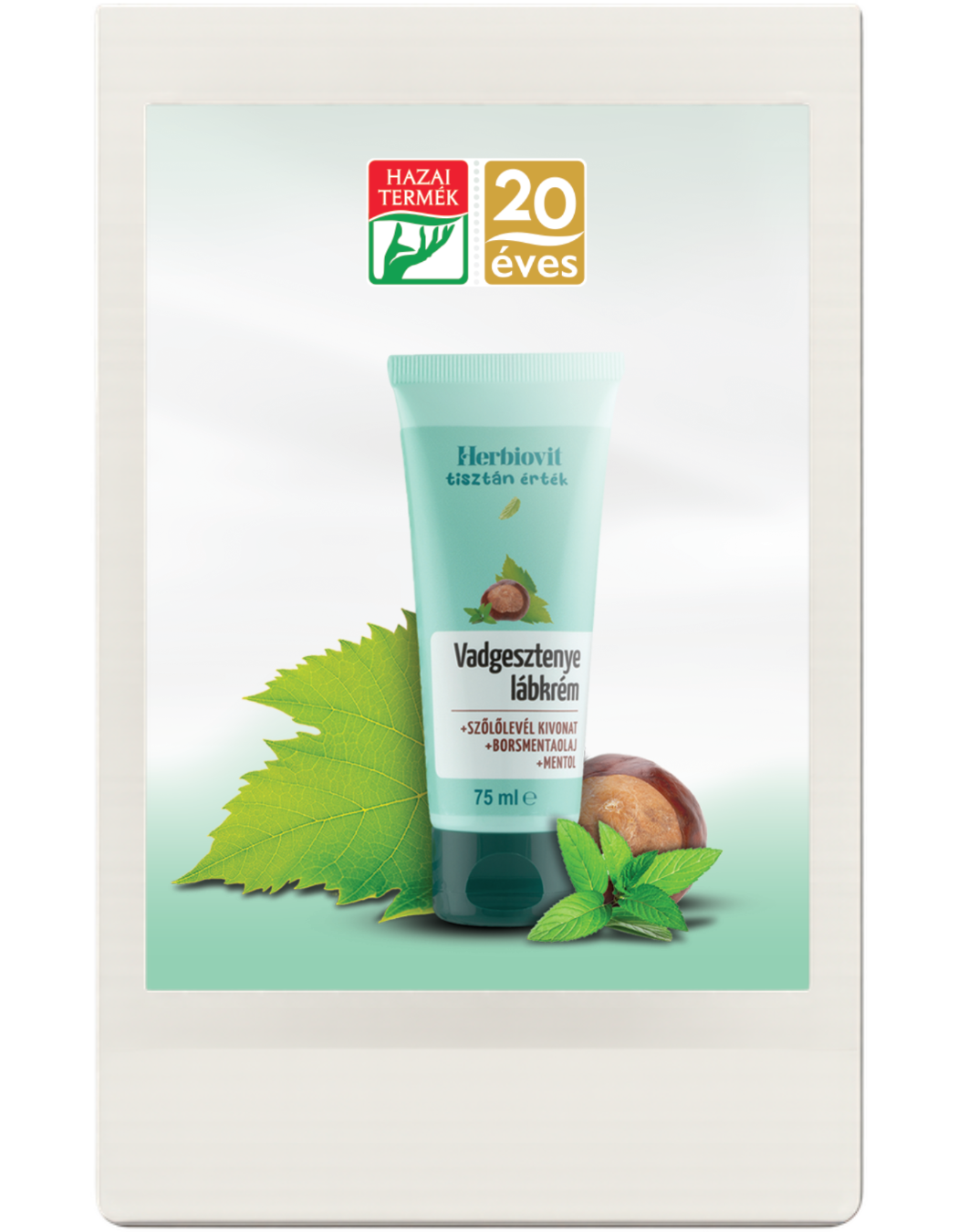 Herbiovit Kft.